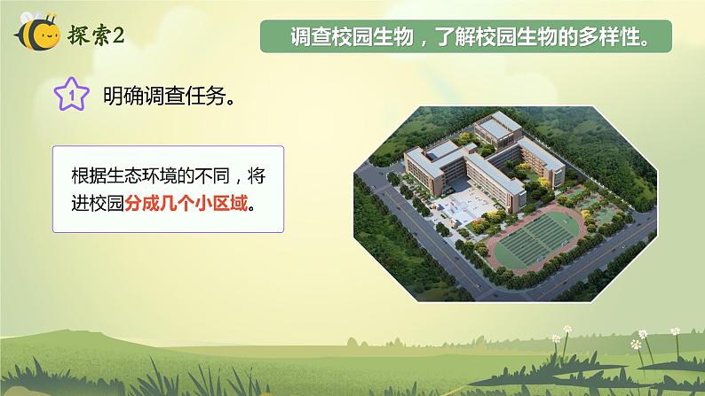 第1课 校园生物大搜索(教学课件)-2023-2024学年六年级科学下册同步精品课堂系列(教科版)第7页