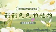 教科版 (2017)3.形形色色的植物完美版教学ppt课件
