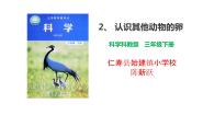 小学科学教科版 (2017)三年级下册2.认识其他动物的卵教学免费ppt课件