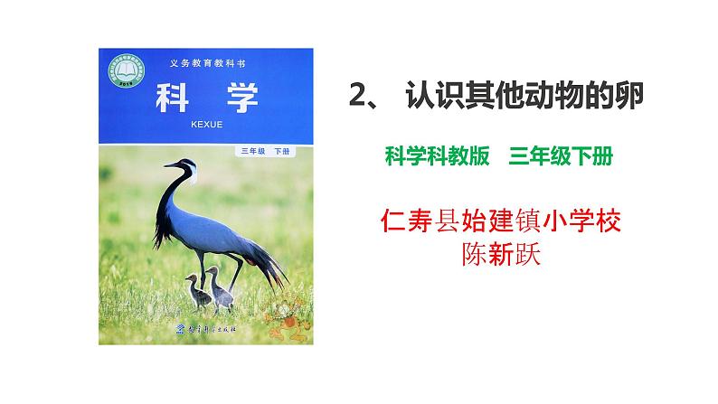 2、 《认识其他动物的卵》课堂实录+教案+教学课件+试题01
