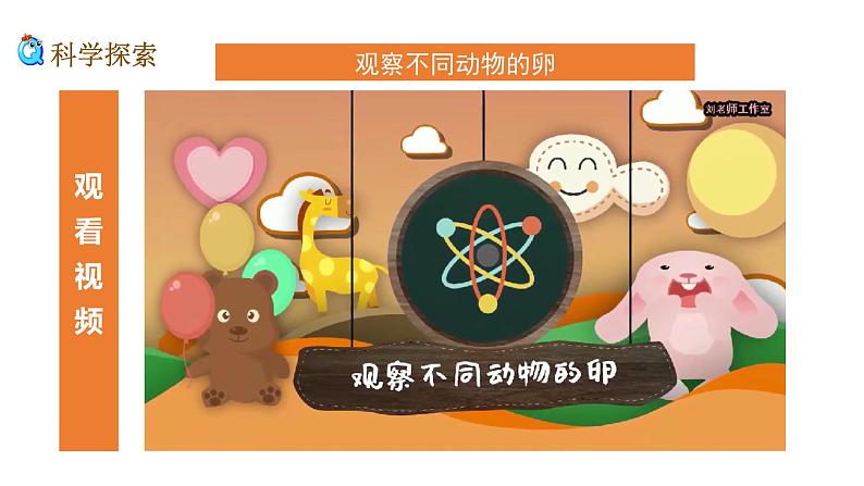 2、 《认识其他动物的卵》课堂实录+教案+教学课件+试题07