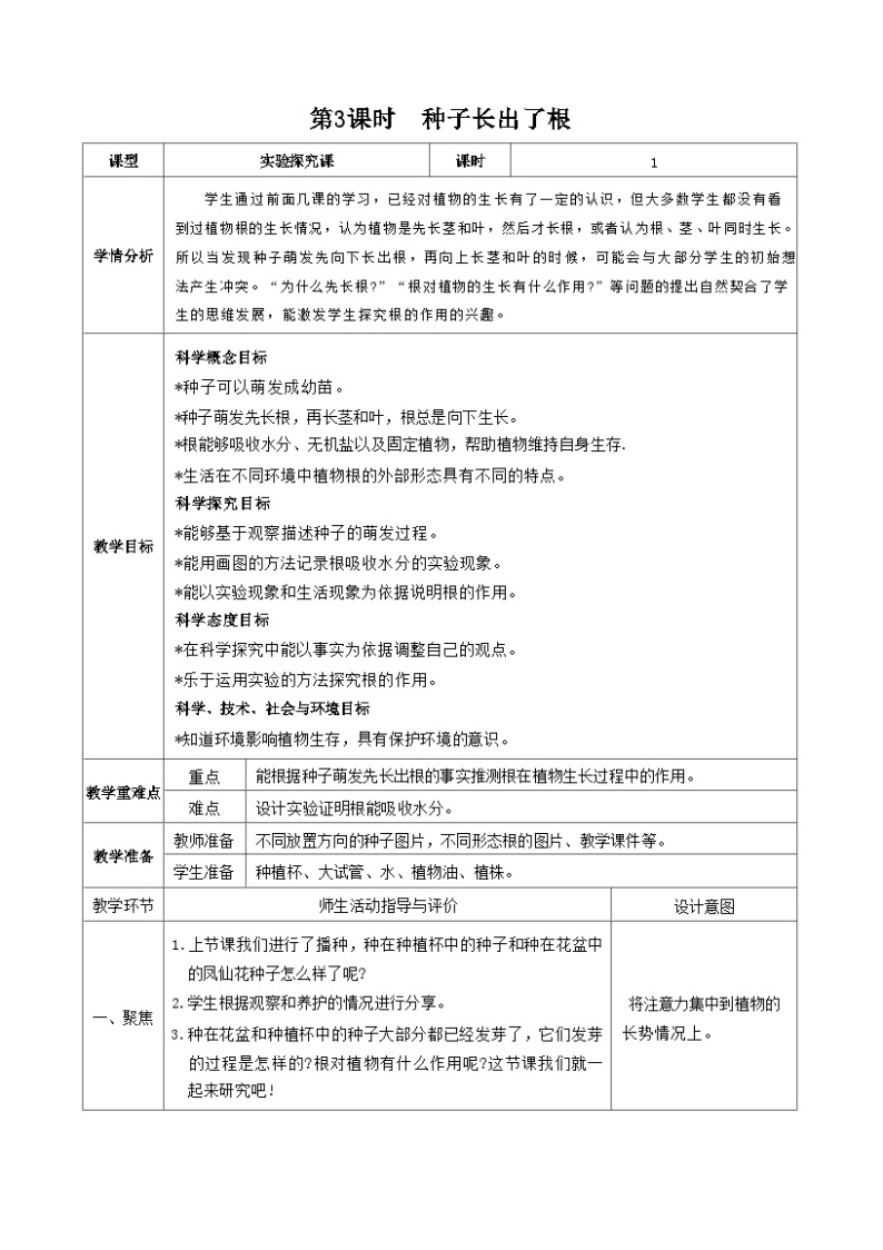 教科版四年级下册科学第3课时  种子长出了根教案01