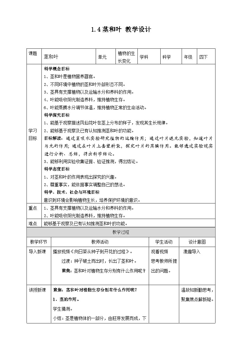 1.4《茎和叶》教案 教科版(2017)四年级科学下册01