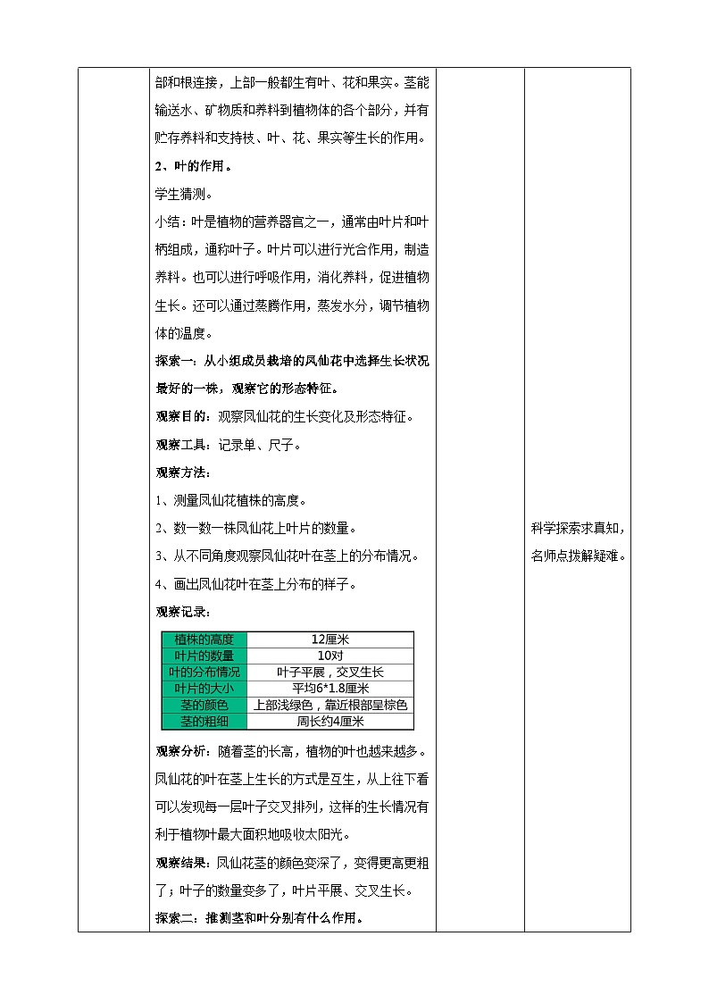 1.4《茎和叶》教案 教科版(2017)四年级科学下册02