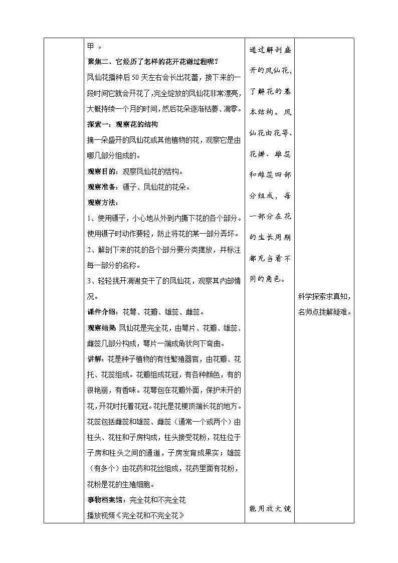 1.5《凤仙花开花了》教案 教科版(2017)四年级科学下册02