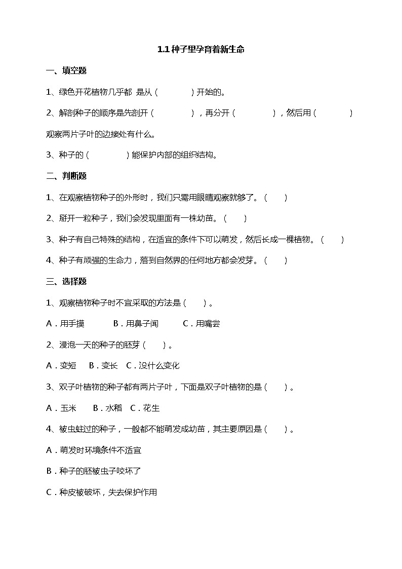 1.1《种子里孕育着新生命》试题(含解析)教科版(2017)四年级科学下册01