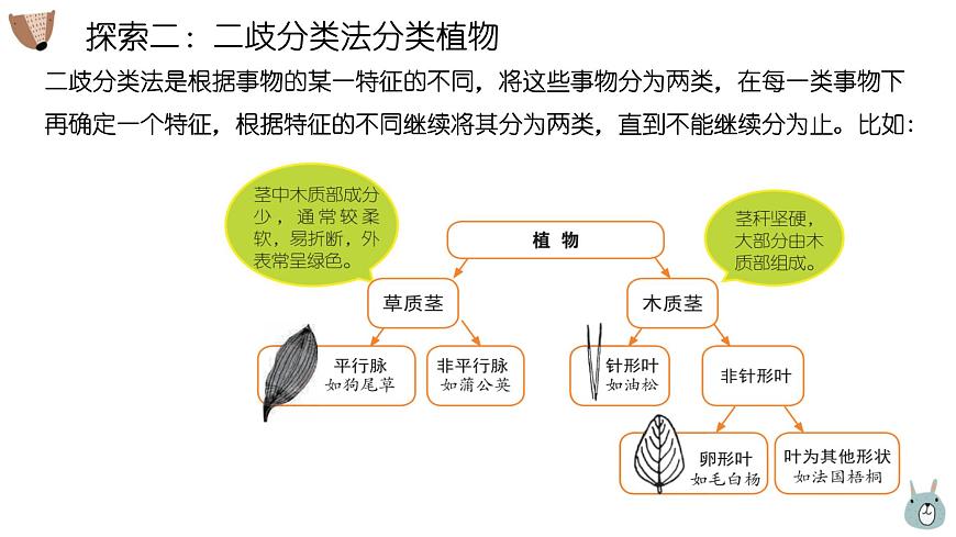 2.2《制作校園生物分布圖》第6頁(yè)