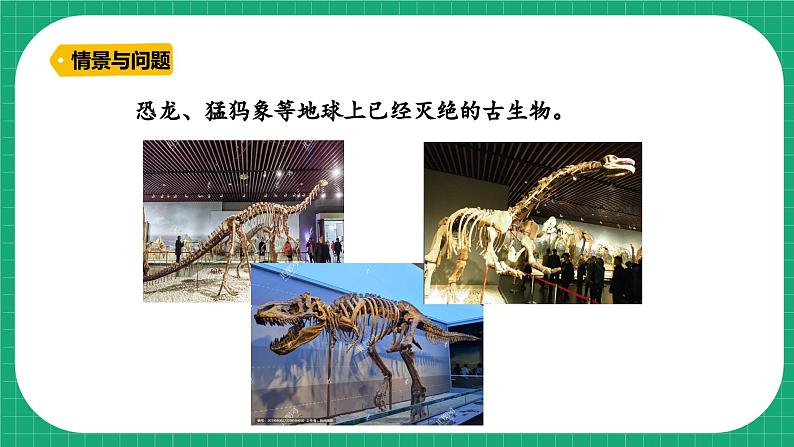【核心素养】冀教版小学科学六年级上册 3.化石里的古生物 课件ppt+ 教案04