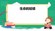 小学科学冀人版 (2017)六年级上册生命的延续4 生物的演变示范课ppt课件