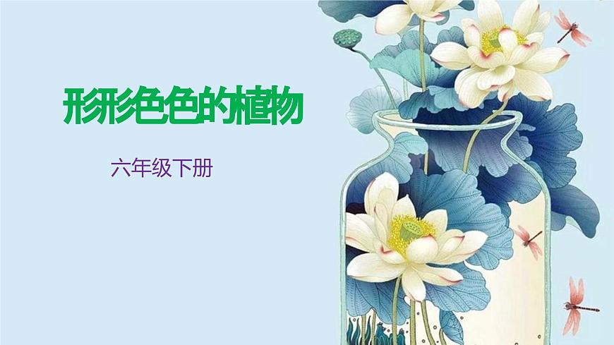 2.3《形形色色的植物》第1頁