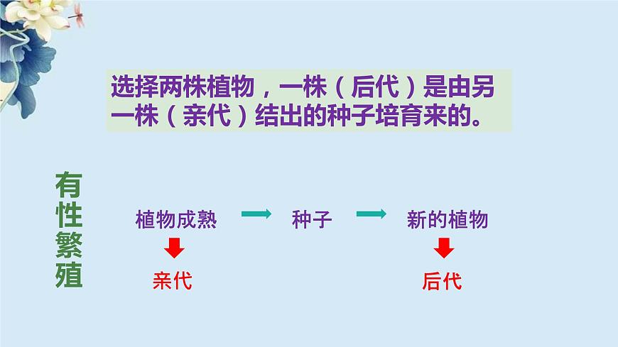 2.3《形形色色的植物》第4頁
