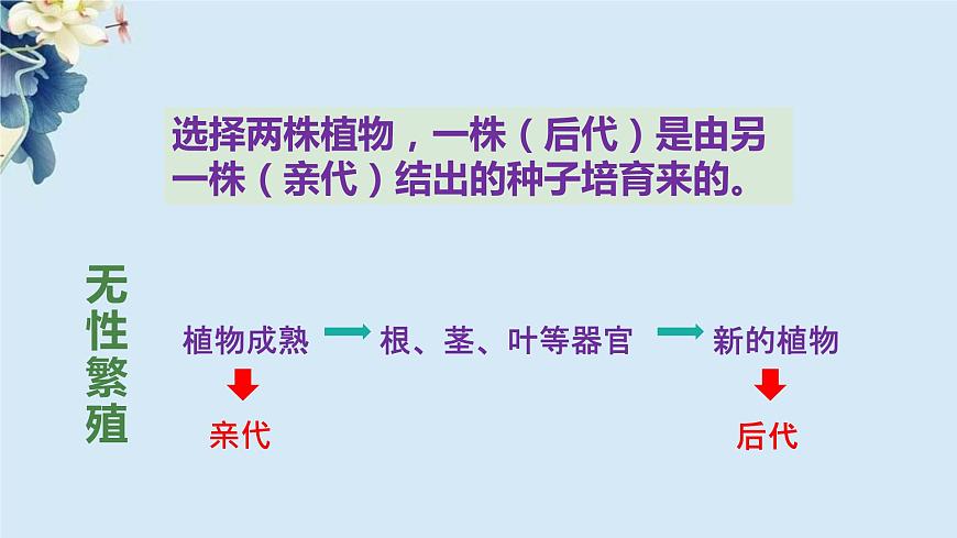2.3《形形色色的植物》第5頁