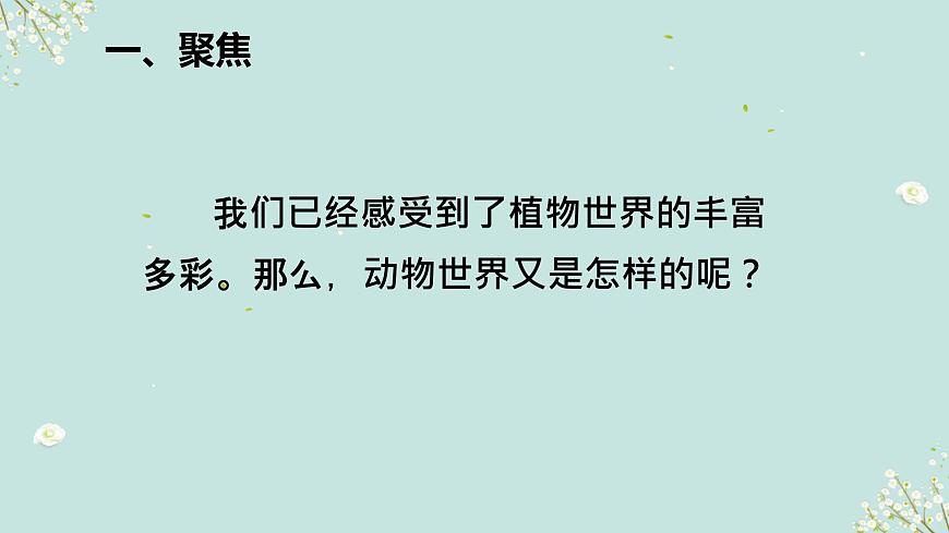 2.4多種多樣的動物第2頁