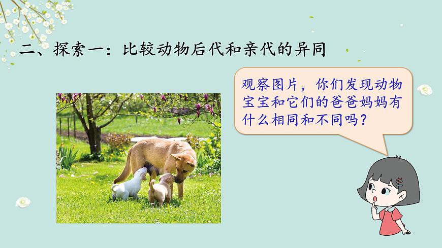 2.4多種多樣的動物第5頁