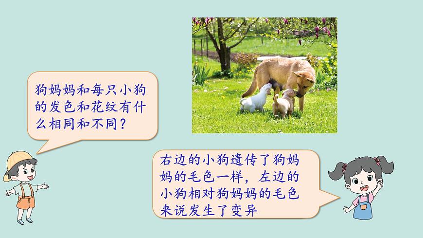 2.4多種多樣的動物第7頁