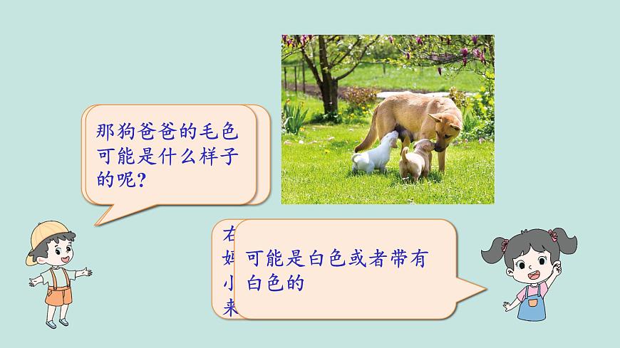 2.4多種多樣的動物第8頁