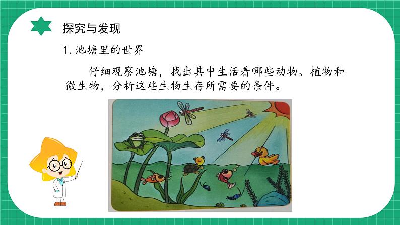 【核心素养】冀教版小学科学六年级上册 14.池塘里的世界 课件ppt+ 教案06
