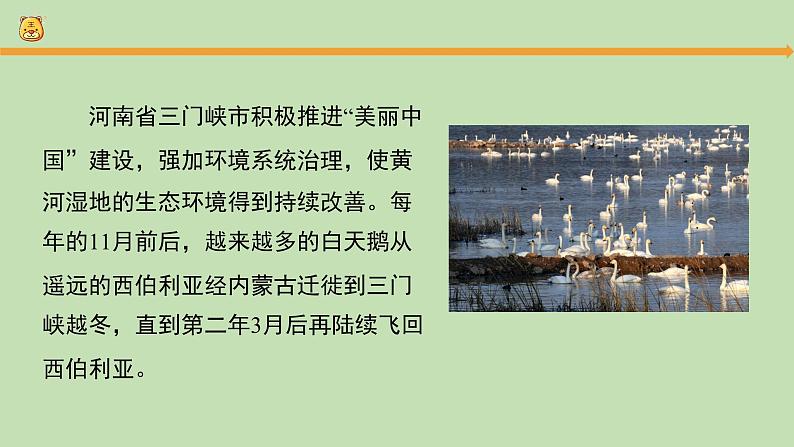 科学大象版六下1.3《环境变化与动物行为》同步课件第2页