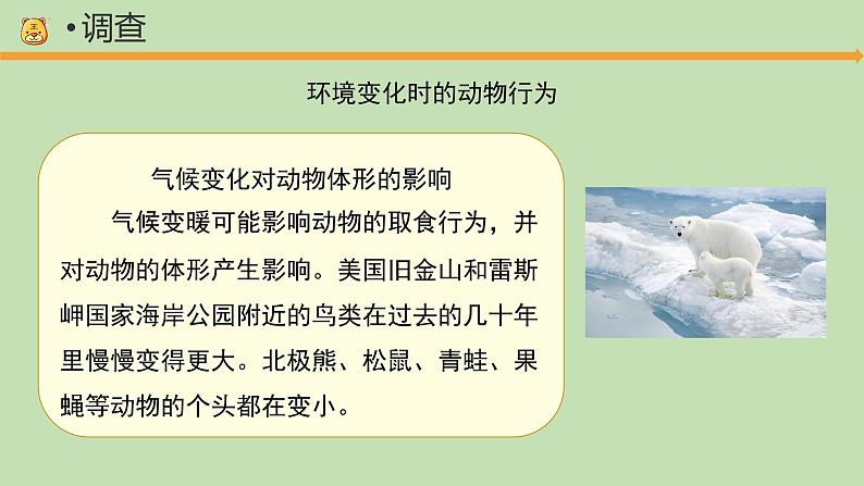 科学大象版六下1.3《环境变化与动物行为》同步课件第5页
