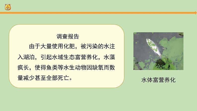 科学大象版六下1.3《环境变化与动物行为》同步课件第6页