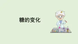 科学大象版六下3.1《糖的变化》同步课件