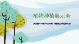 科学大象版（2017秋）三下3.6《植物种植展示会》同步课件