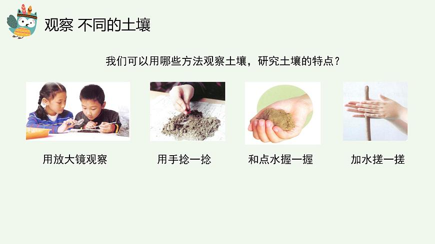 科學(xué)大象版（2017秋）三下4.3《不一樣的土壤》同步課件第3頁