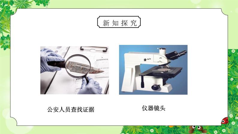 教科版六年级科学下册第一单元《微小世界-放大镜》PPT课件07