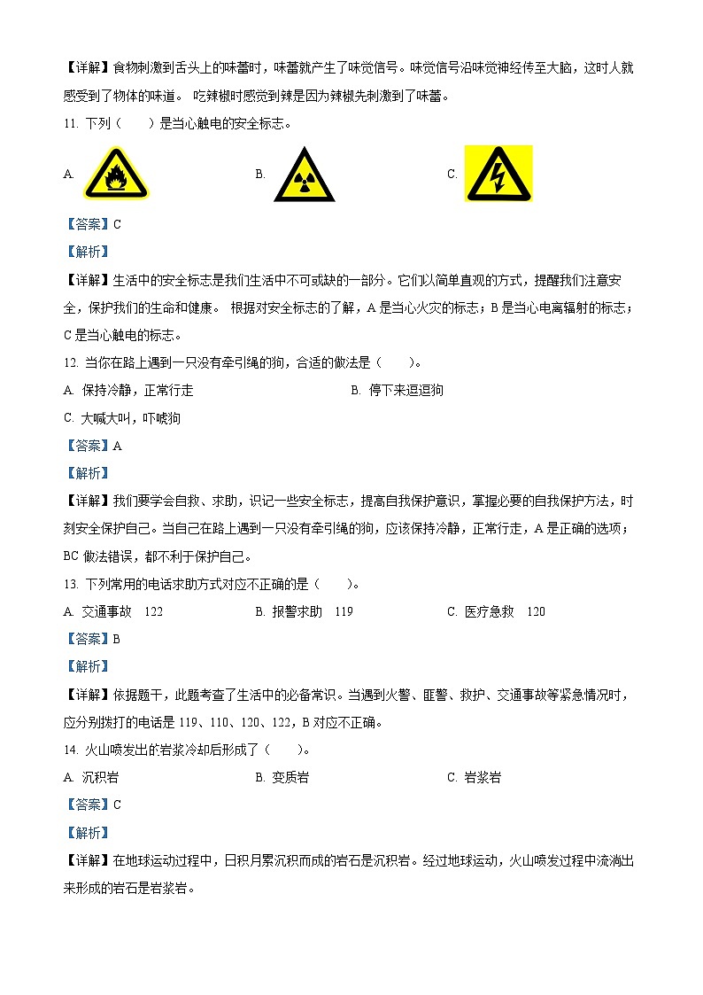 2023-2024学年河南省南阳市方城县大象版五年级上册期末考试科学试卷(原卷版+解析版)03