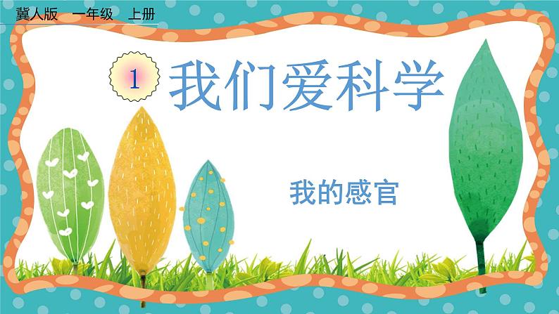 【核心素养】冀人版小学科学一年级 上册 2.我的感官 课件+教案(含教学反思)01