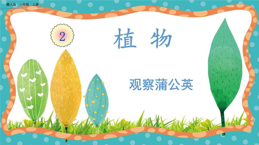 【核心素養(yǎng)】冀人版小學(xué)科學(xué)一年級(jí)下冊(cè) 6 觀察蒲公英第1頁