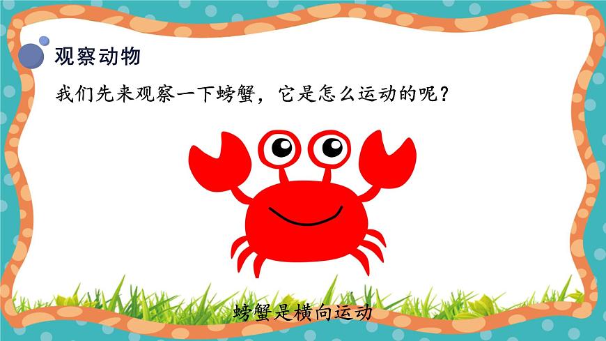 【核心素養(yǎng)】冀人版小學科學一年級上冊 8 認識動物第6頁