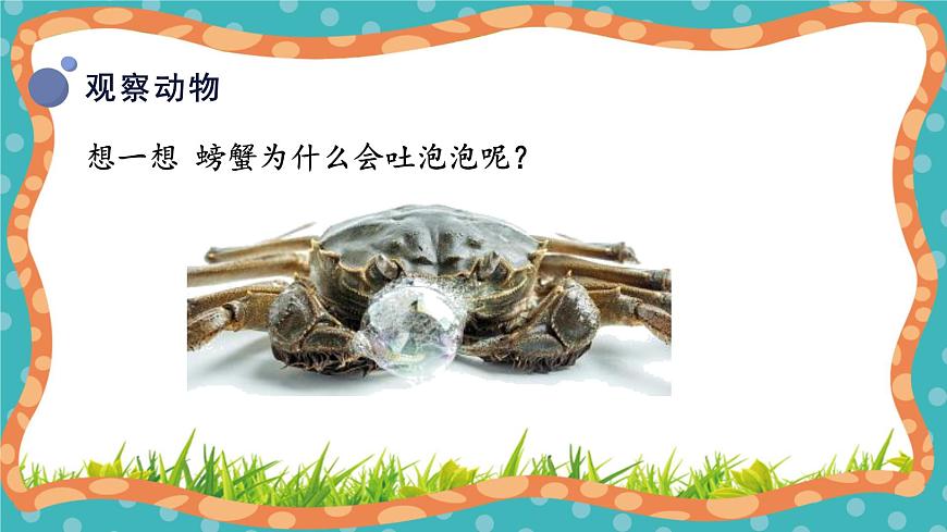 【核心素養(yǎng)】冀人版小學科學一年級上冊 8 認識動物第7頁