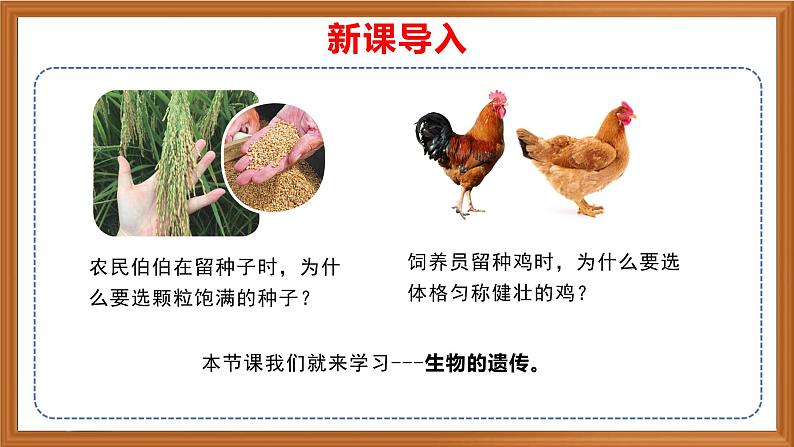 苏教版小学科学六上第二单元《5 生物的遗传》课件+教案+视频+作业01