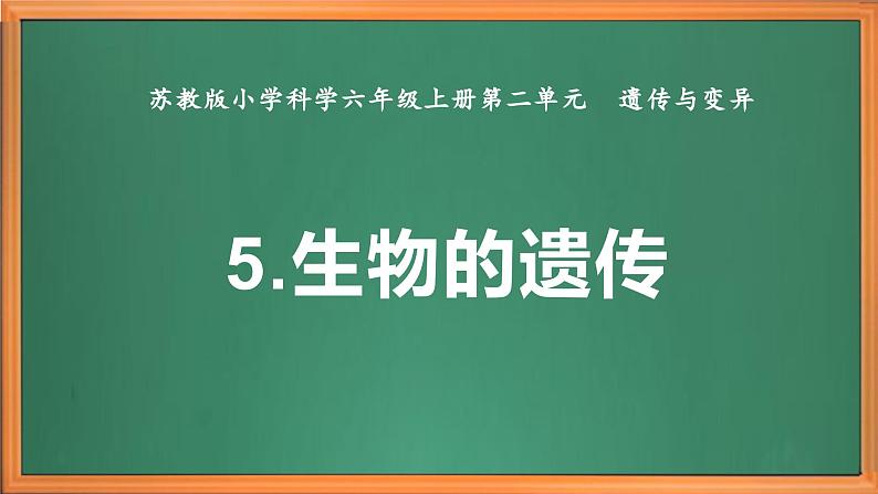 苏教版小学科学六上第二单元《5 生物的遗传》课件+教案+视频+作业02