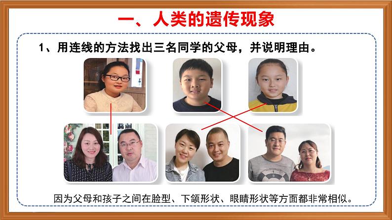 苏教版小学科学六上第二单元《5 生物的遗传》课件+教案+视频+作业04