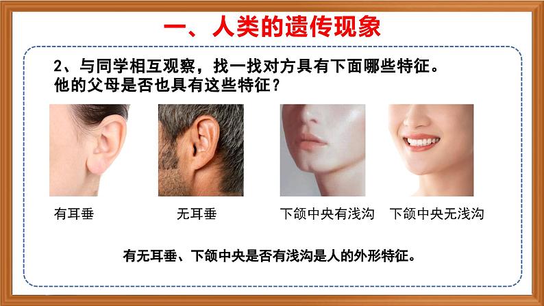 苏教版小学科学六上第二单元《5 生物的遗传》课件+教案+视频+作业05