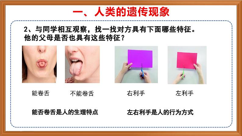 苏教版小学科学六上第二单元《5 生物的遗传》课件+教案+视频+作业06