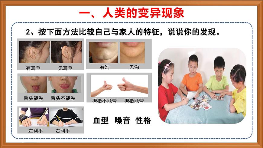 蘇教版小學(xué)科學(xué)六年級上冊第二單元《6 生物的變異》課件、視頻、作業(yè)設(shè)計第5頁