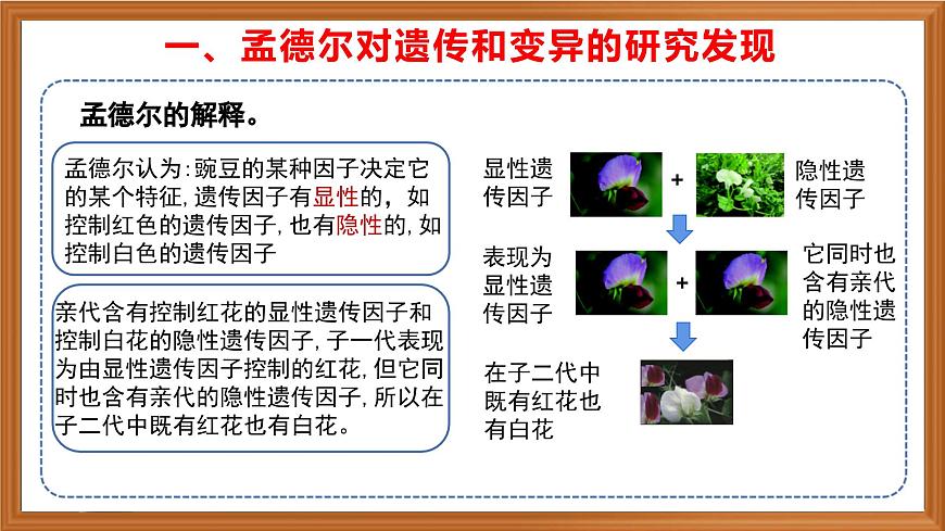 蘇教版小學科學六年級上冊第二單元《7 尋找遺傳與變異的秘密》課件、視頻、作業(yè)設計第6頁