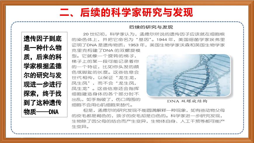 蘇教版小學科學六年級上冊第二單元《7 尋找遺傳與變異的秘密》課件、視頻、作業(yè)設計第7頁