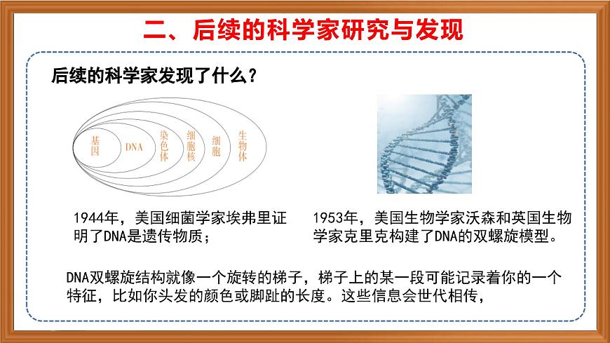 蘇教版小學科學六年級上冊第二單元《7 尋找遺傳與變異的秘密》課件、視頻、作業(yè)設計第8頁