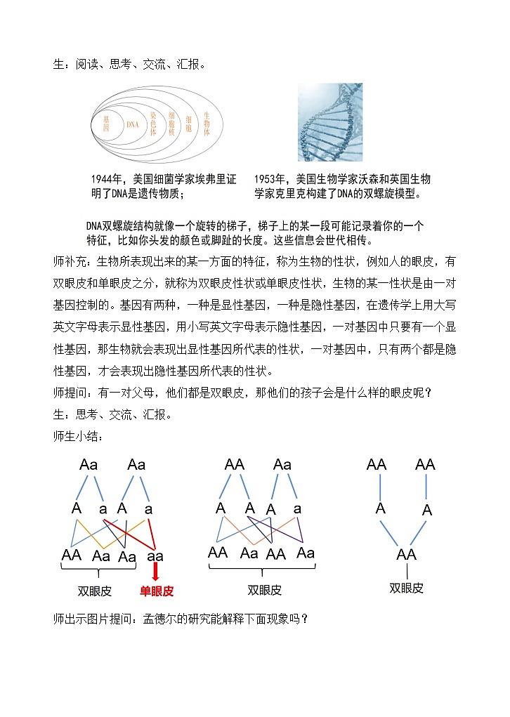 苏教版小学科学六年级上册第二单元《7 寻找遗传与变异的秘密》教案第3页