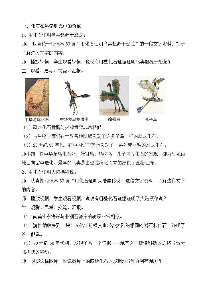 苏教版小学科学六上第三单元《10 用化石作证据》课件+教案+视频+作业02