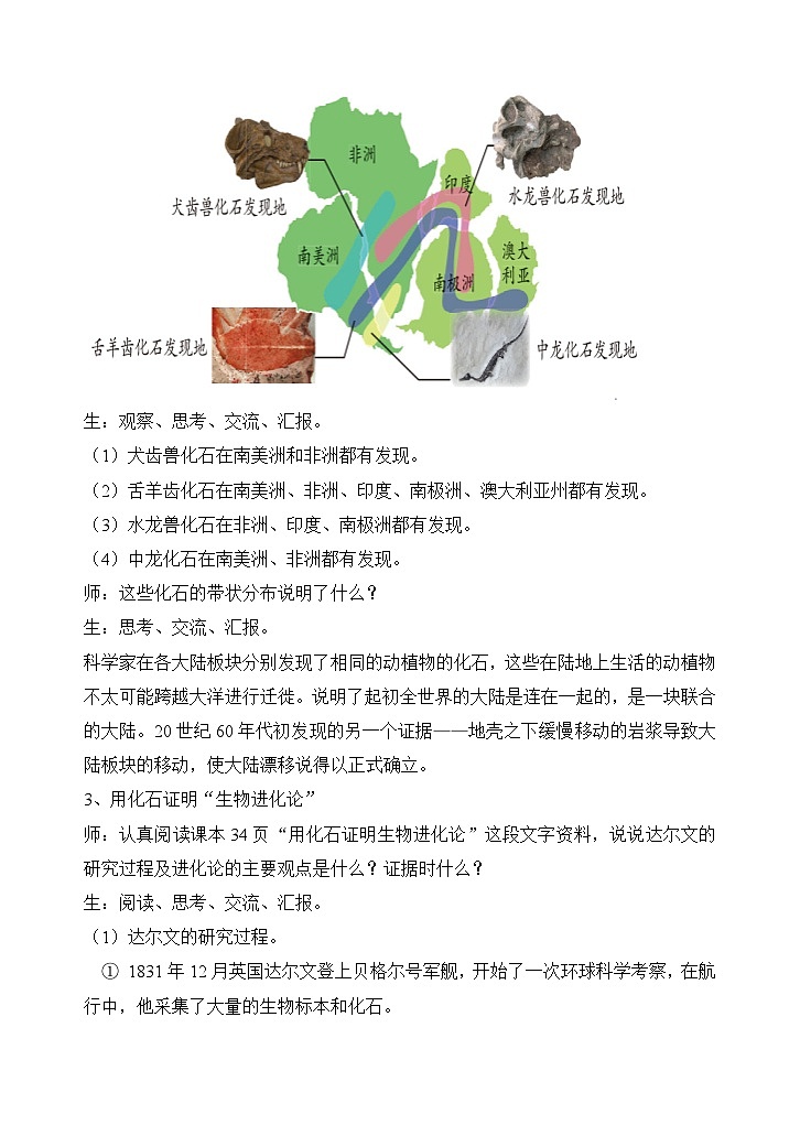 苏教版小学科学六上第三单元《10 用化石作证据》课件+教案+视频+作业03