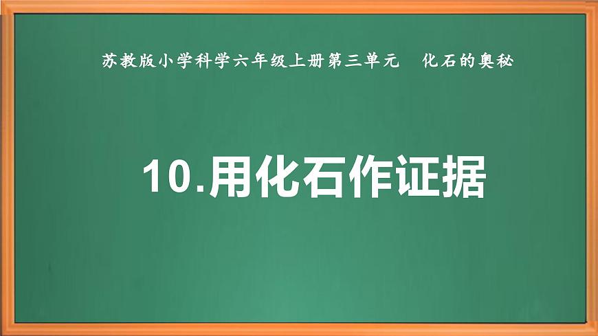 蘇教版小學(xué)科學(xué)六年級(jí)上冊(cè)第三單元《10 用化石作證據(jù)》課件、視頻、作業(yè)設(shè)計(jì)第2頁