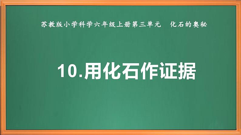 苏教版小学科学六上第三单元《10 用化石作证据》课件+教案+视频+作业02