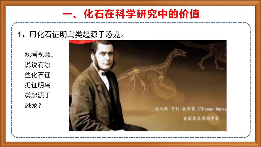 蘇教版小學(xué)科學(xué)六年級(jí)上冊(cè)第三單元《10 用化石作證據(jù)》課件、視頻、作業(yè)設(shè)計(jì)第5頁
