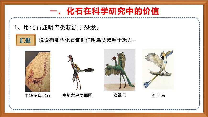 蘇教版小學(xué)科學(xué)六年級(jí)上冊(cè)第三單元《10 用化石作證據(jù)》課件、視頻、作業(yè)設(shè)計(jì)第6頁