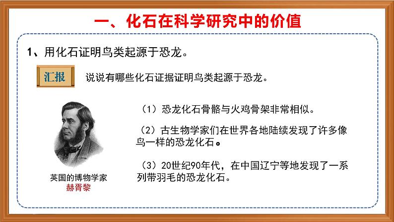 苏教版小学科学六上第三单元《10 用化石作证据》课件+教案+视频+作业07